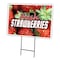 Signmission Fresh Strawberries Yard Sign & Stake outdoor plastic coroplast window, C-1216 Fresh Strawberries C-1216 Fresh Strawberries - alternate 1